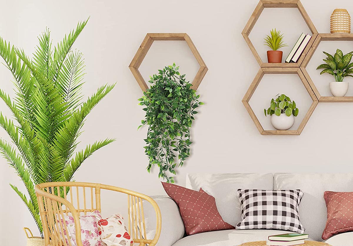 2023年购买假植物的9个最佳地点——鲍勃·维拉 开云体育平台官网下载安卓